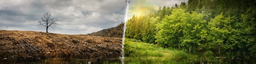 Player Selected Banner